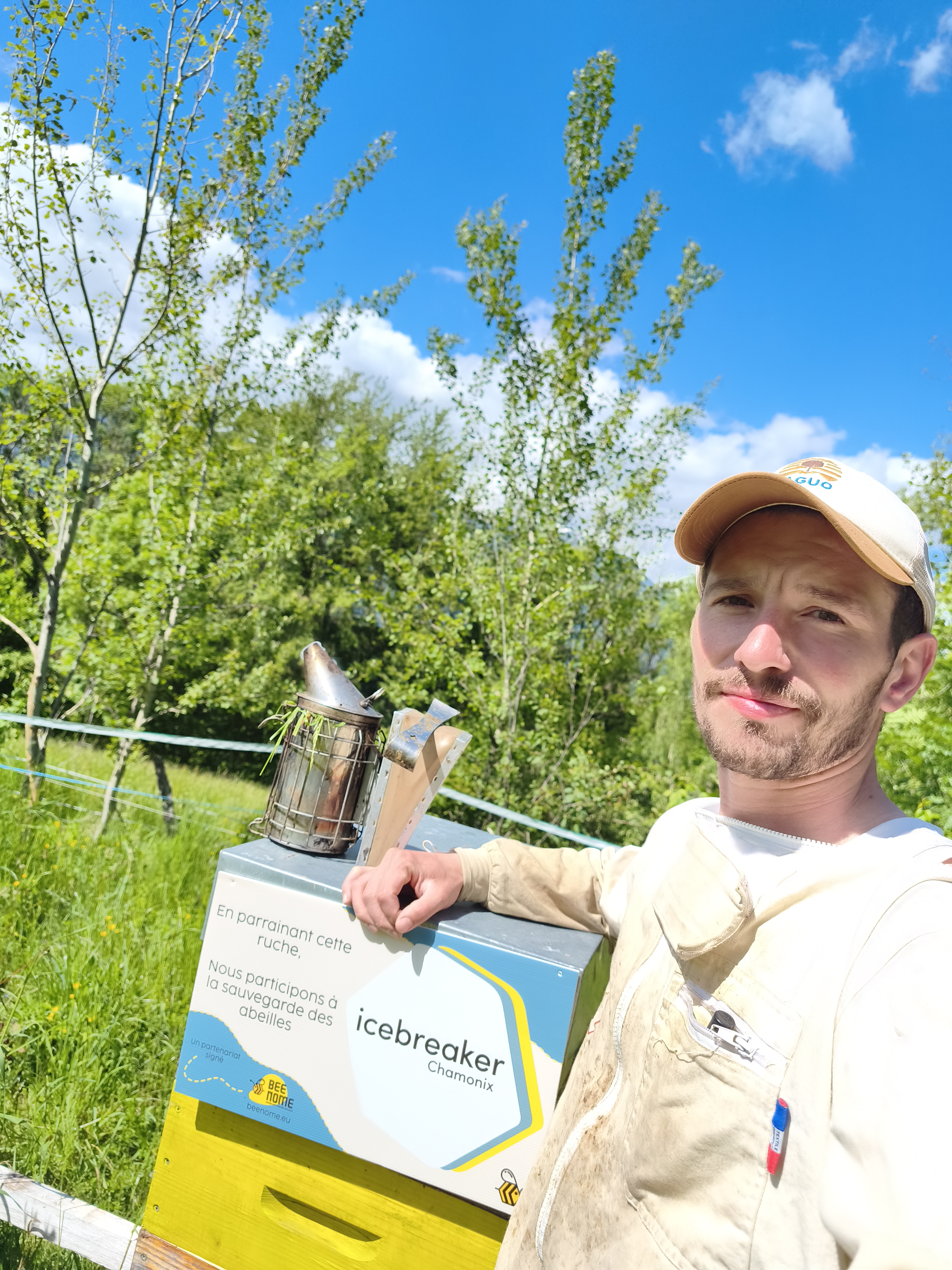 Team building au rucher : l'animation nature qui marque les équipes